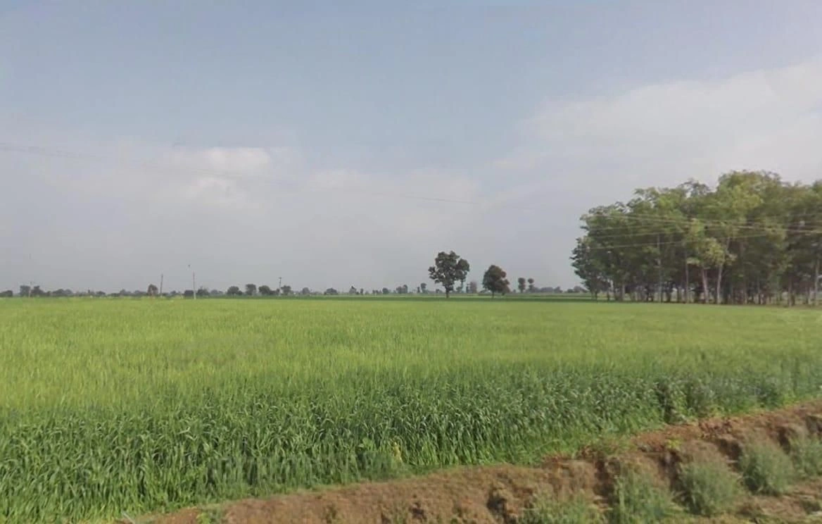 Khategaon, Madhya Pradesh 455336, India preview 2