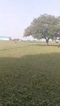 C5JM+CXP, Kanpur Nagar, Kataraghan Shyam, Uttar Pradesh, India - Photo 3