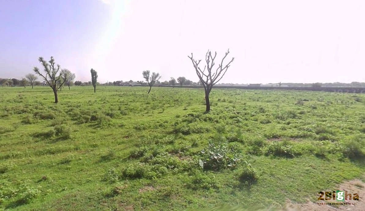 Goriwala, Haryana 125103, India