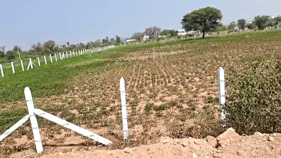 PHRG+C9 Gundal, Telangana, India