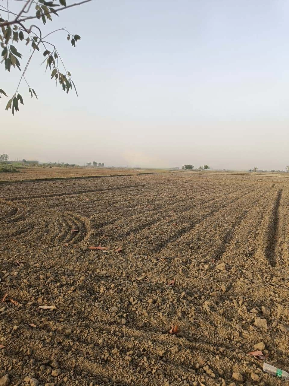 Tentigaon, Uttar Pradesh, India
