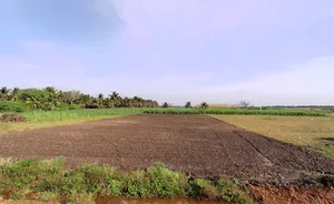 Chamarajanagar, Karnataka, India preview 3