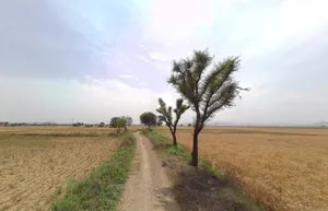 JRPQ+CG Khojaka, Rajasthan, India preview 3