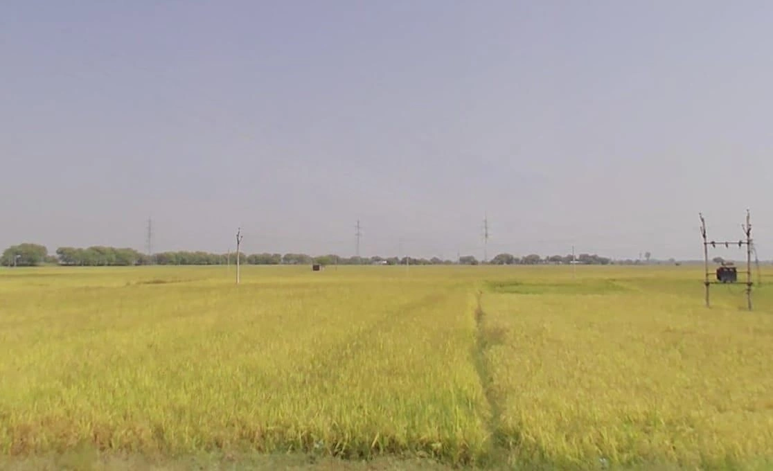 Sanchet, Madhya Pradesh, India