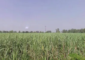 Moradabad, Tajpur Mafi, Uttar Pradesh 244104, India preview 3