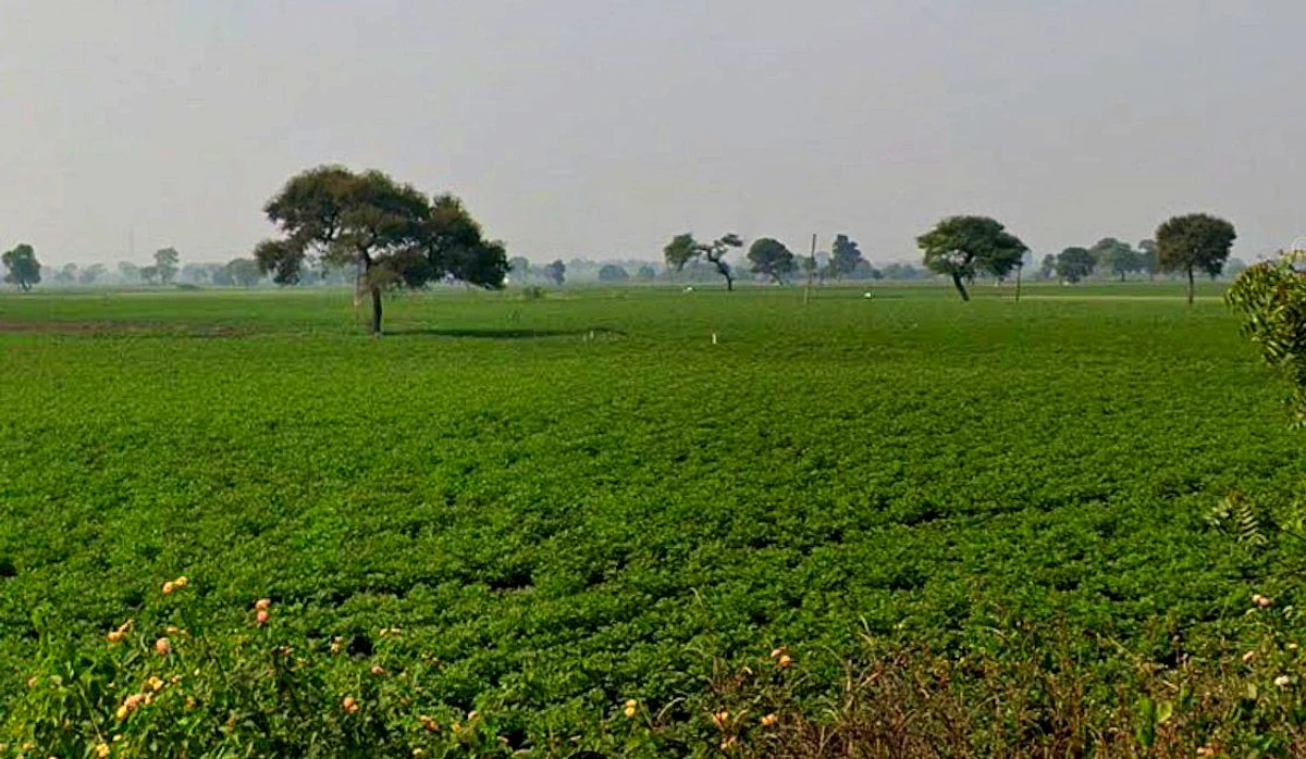 Kopal, Bhopal, Madhya Pradesh 462044, India