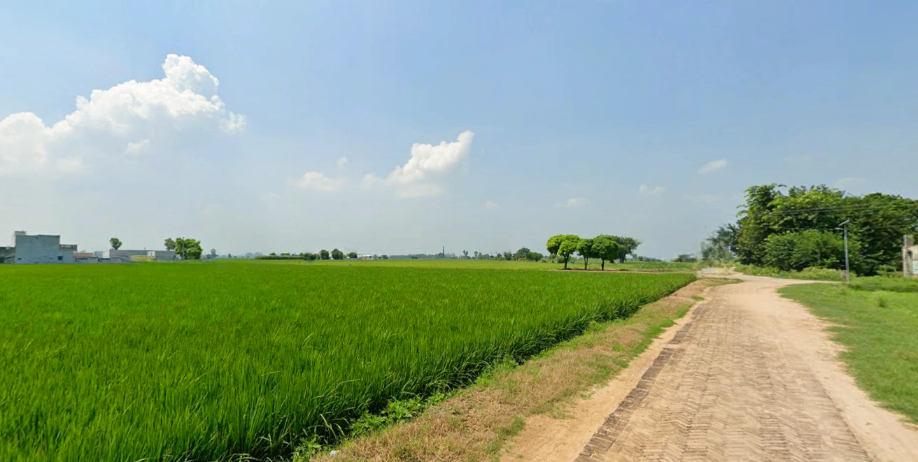 New Chandigarh, Punjab 140901, India