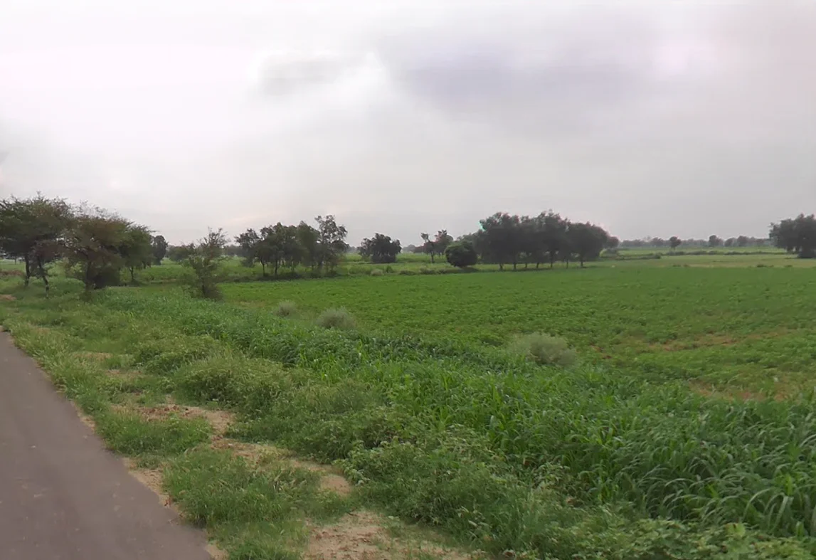 Budak, Haryana 125004, India preview 3