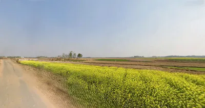 Chitrakonda, Odisha 764052, India preview 3