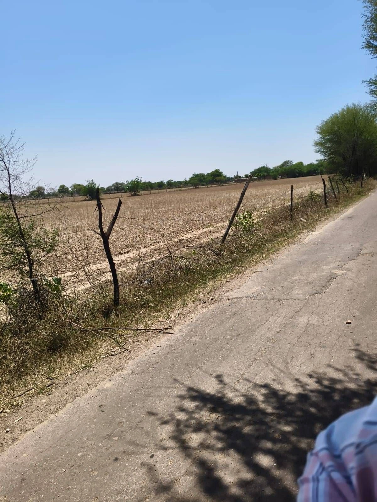 Mahwa, Rajasthan 321608, India