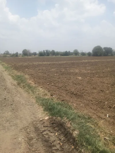 Rajoda, Dewas Nagar, Dewas, Madhya Pradesh, India preview 4
