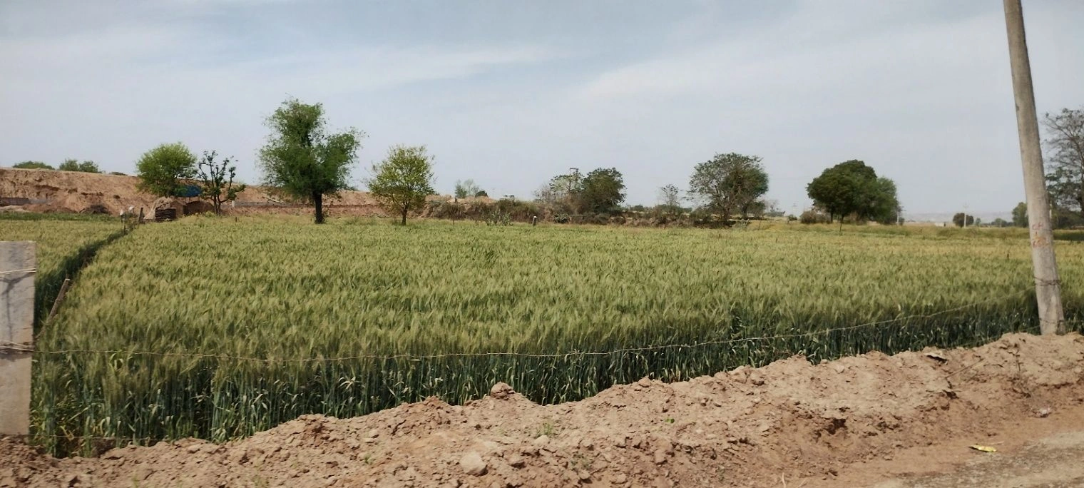 Bagar Rajput, Rajasthan, India