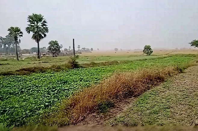 5394+M25, Gangta, Jhakhar, Bihar 811311, India preview 2