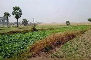 5394+M25, Gangta, Jhakhar, Bihar 811311, India preview 2