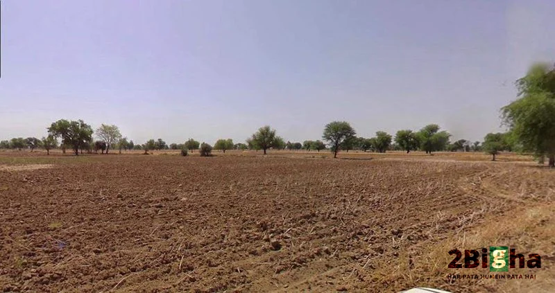 Kabrai, Uttar Pradesh 210424, India preview 2