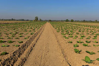 It Kheda, Madhya Pradesh, India preview 3