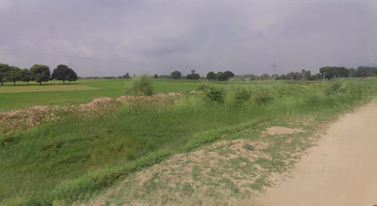 Rewari, Haryana 123401, India