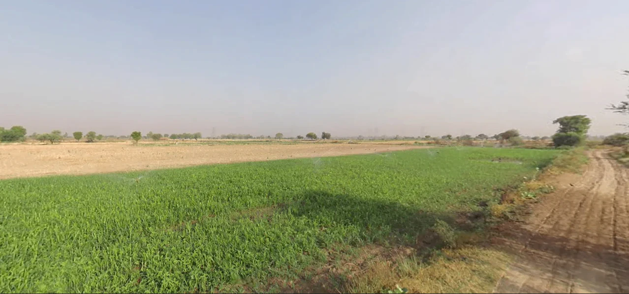 Choroti Istmurar, Rajasthan 301001, India