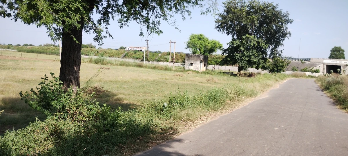 Bedha, Rajasthan 301021, India