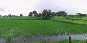 Jewar, Uttar Pradesh 203135, India preview 2