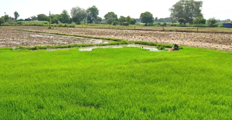 Vijay Nagar, Indore, Madhya Pradesh 452001, India preview 2