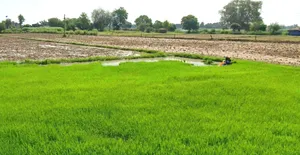 Vijay Nagar, Indore, Madhya Pradesh 452001, India preview 2