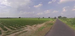 3369+HV Hansalpur Sereshvar, Gujarat, India preview 3