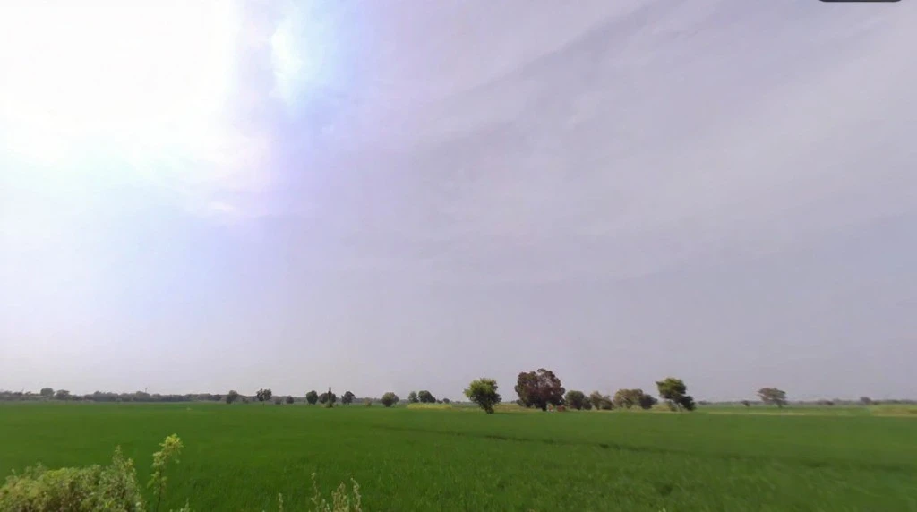 Farmana, Haryana 131408, India