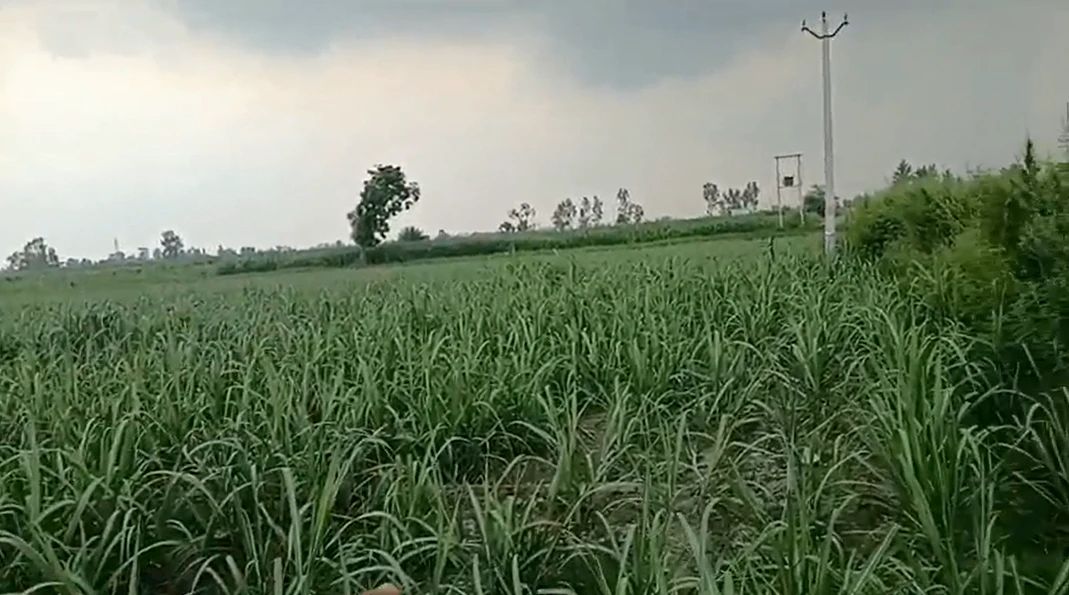 757W+45 Ghangola, Haryana, India