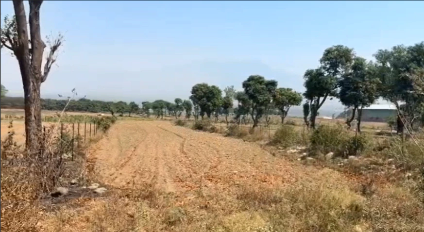 DayalBagh, Agra, Uttar Pradesh, India