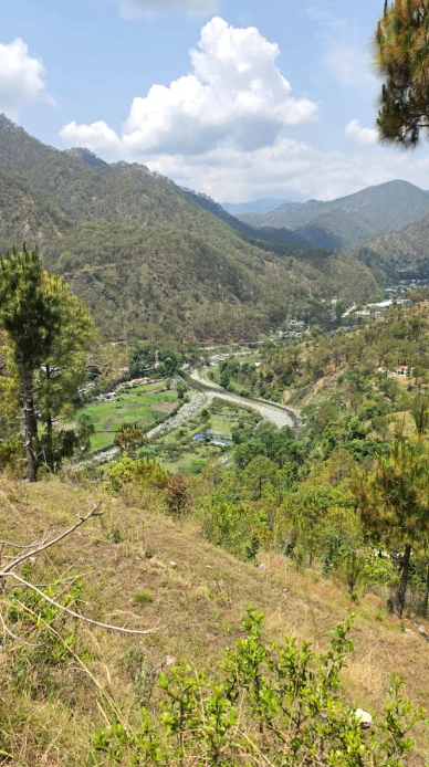Bhimtal, Uttarakhand 263136, India