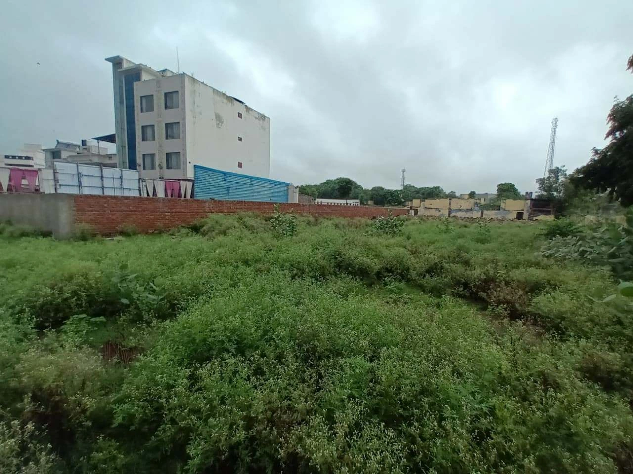 484F+FX6, Satpulia, Ajmer Rd Beawar, Paras Colony, Beawar, Rajasthan 305901, India preview 4