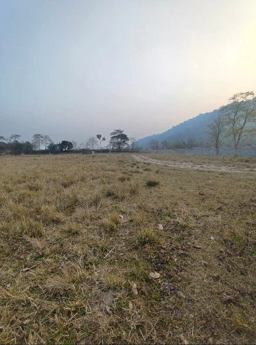 Burha Mayang, Assam 782411, India