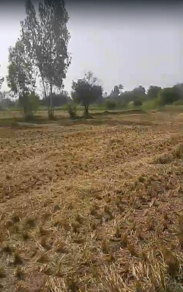 9HJ2+QPH, Alwar, Prithvipura, Rajasthan 301406, India