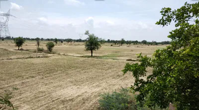 Rampur, Gujarat 382225, India preview 6