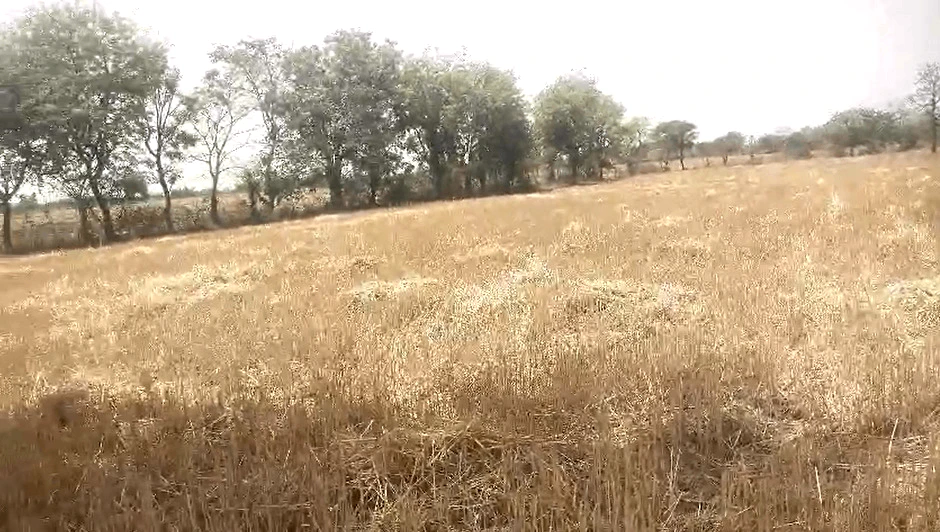 Devendrapura, Madhya Pradesh, India