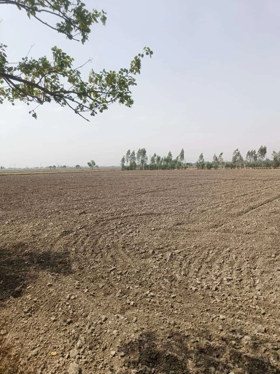 Aou, Rajasthan, India