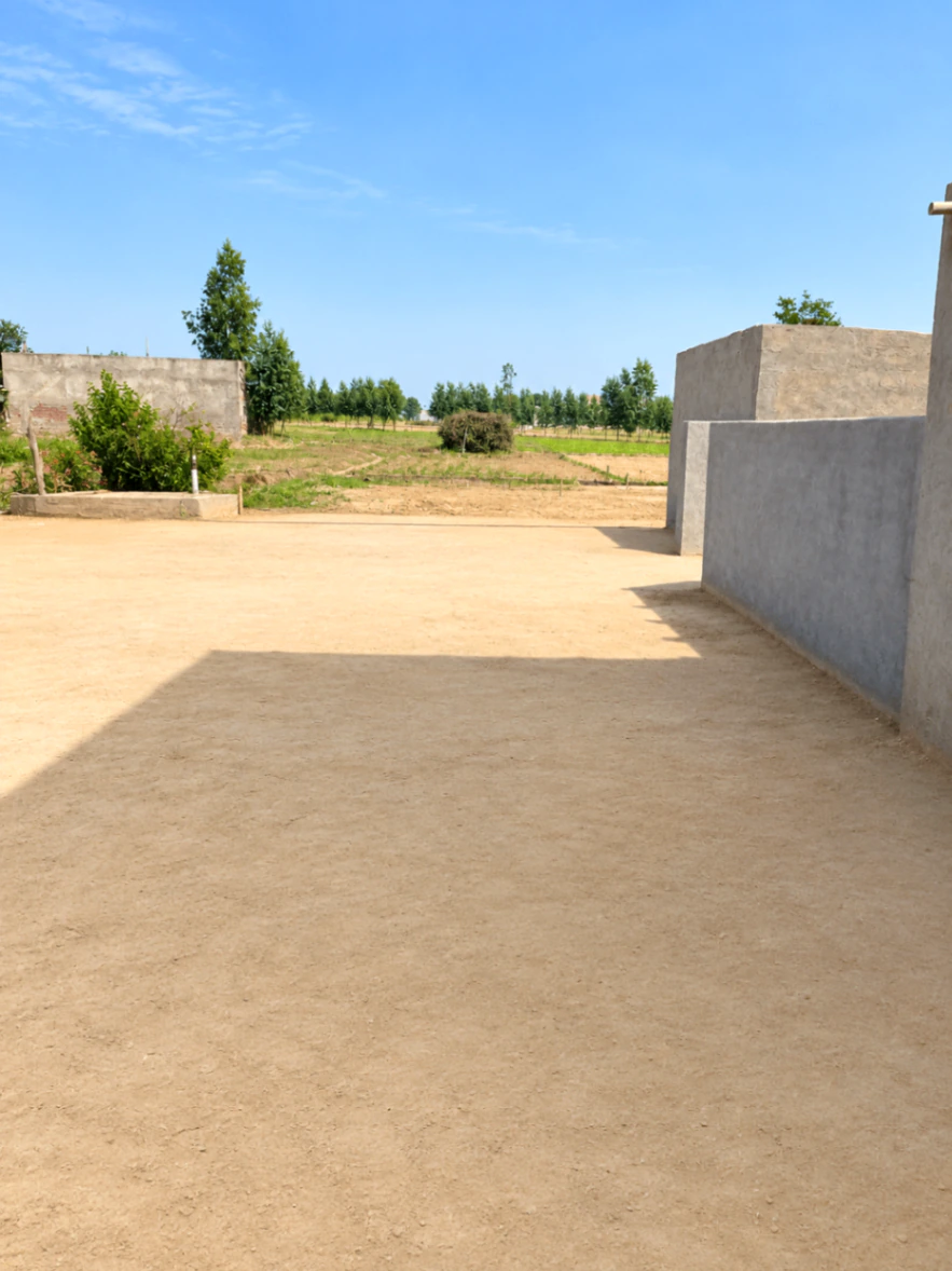 7G79+P76, Hisar, Kohli, Haryana 125052, India - Photo 3