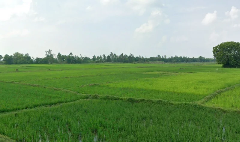 Mohandi, Chhattisgarh 493445, India preview 3