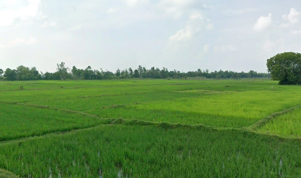 Mohandi, Chhattisgarh 493445, India