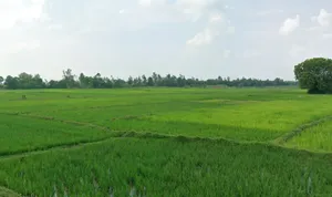 Mohandi, Chhattisgarh 493445, India preview 3