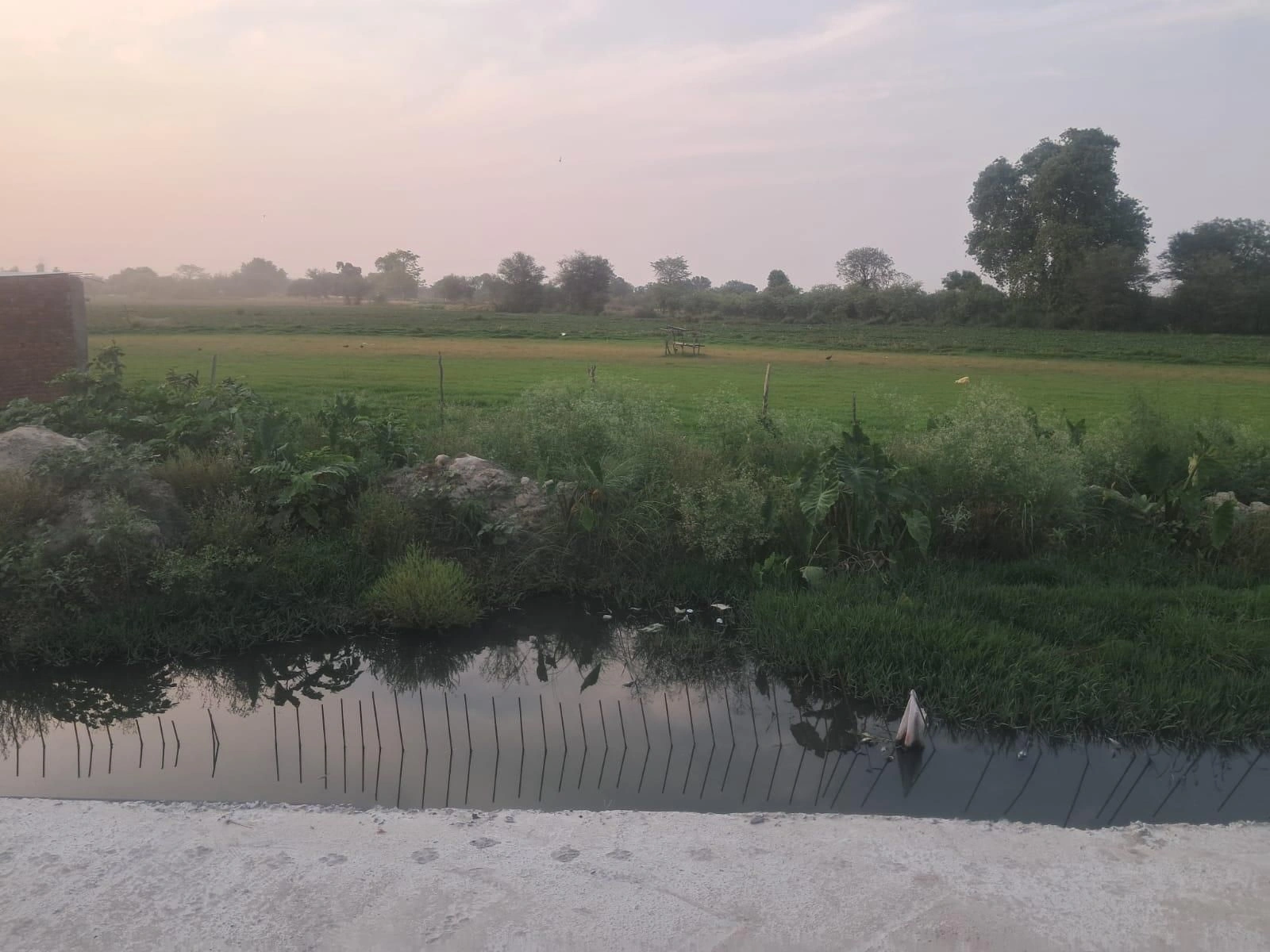 Iglas, Uttar Pradesh 202124, India preview 2