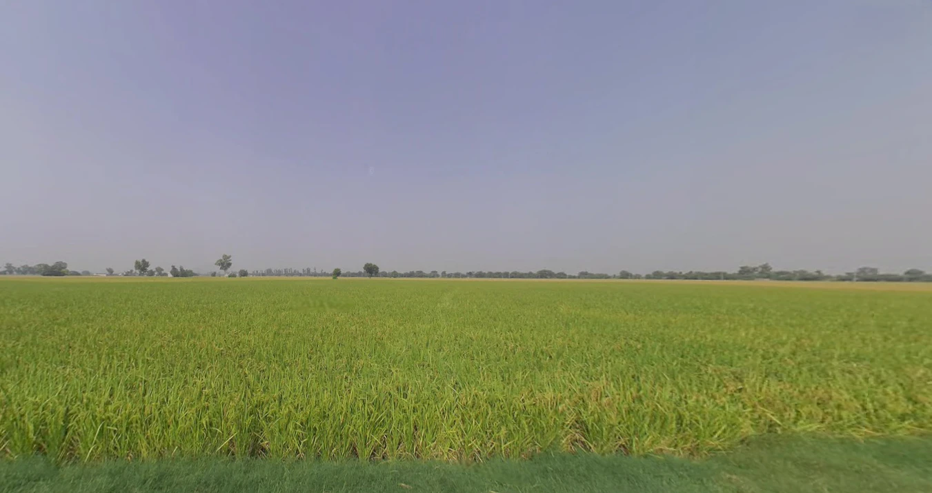 Lehragaga, Punjab 148031, India