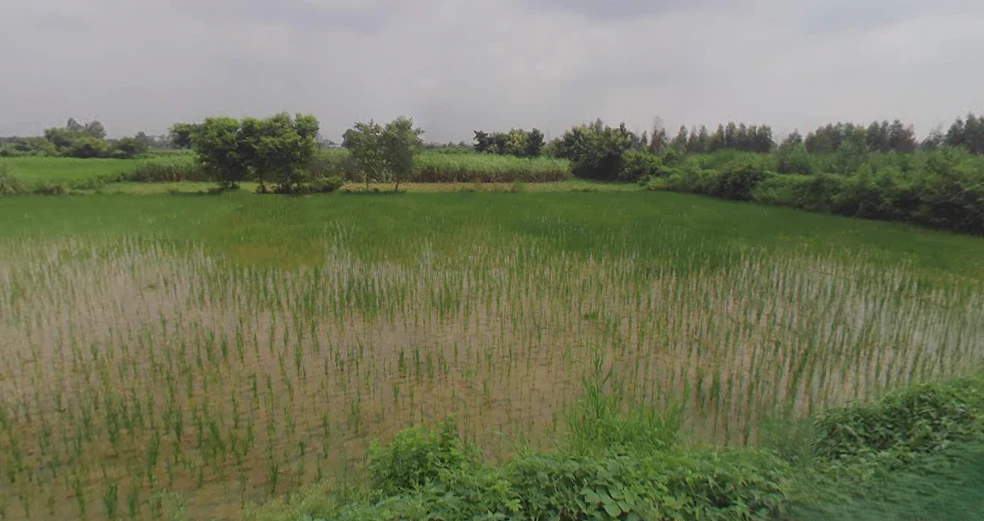 Kanth, Uttar Pradesh 244501, India