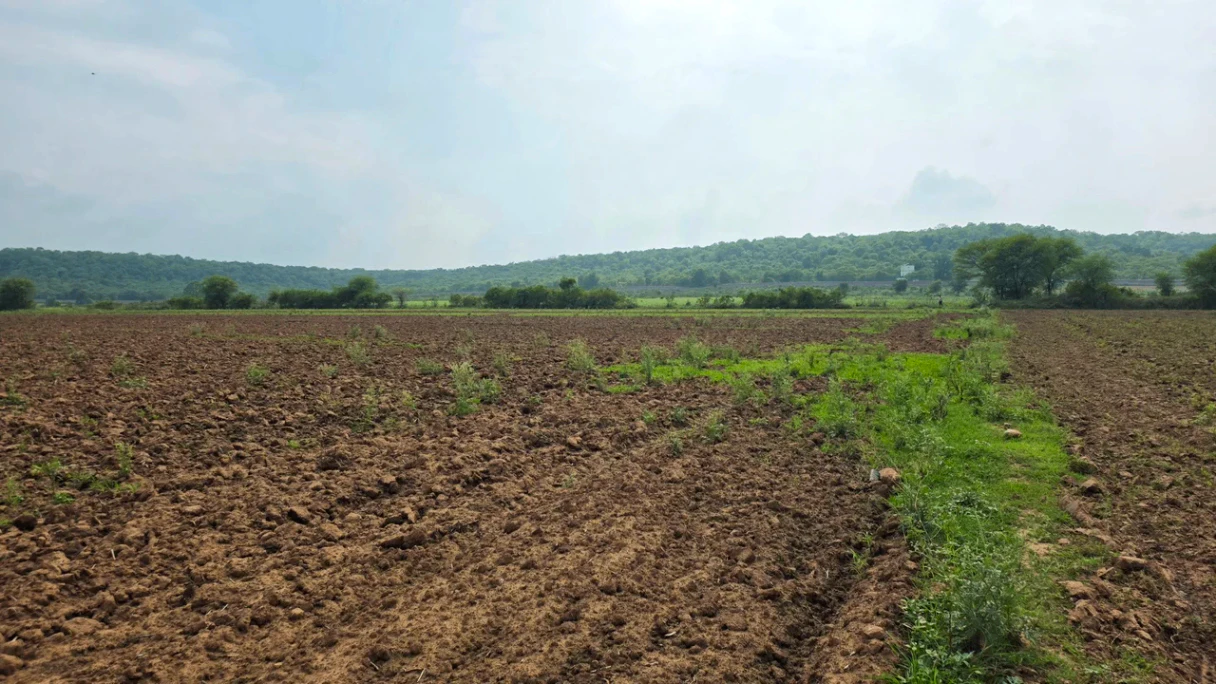 Gohinda, Gwalior, Madhya Pradesh 475220, India