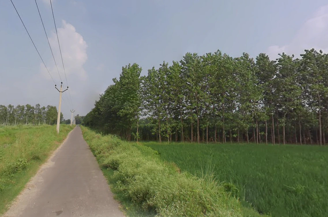 Mata Shakumbhari Devi Rd, Alipur Alis Bhagwala, Uttar Pradesh, India