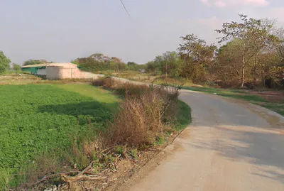 Pinkapar, Chhattisgarh 491661, India preview 3