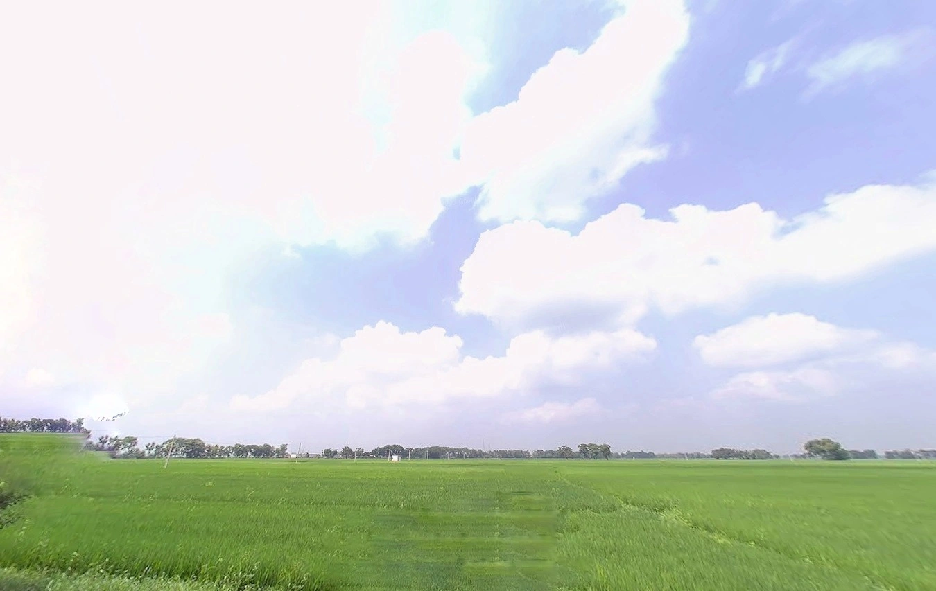 Bihta Chowk, Bihar 801103