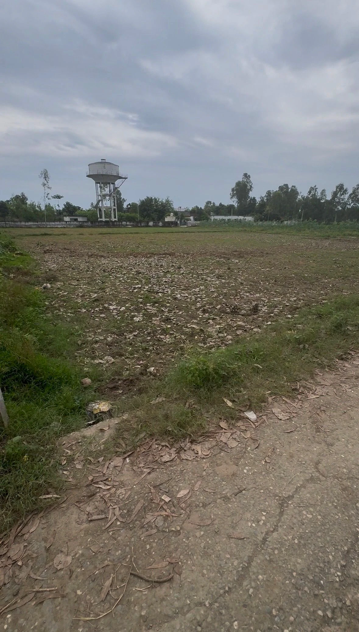 Chilkana, Saharanpur, Uttar Pradesh 247231, India