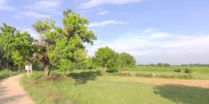 It Kheda, Madhya Pradesh, India